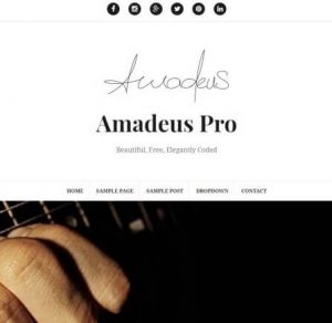amadeus-pro wordpress theme for bloging and magazine wpmethods