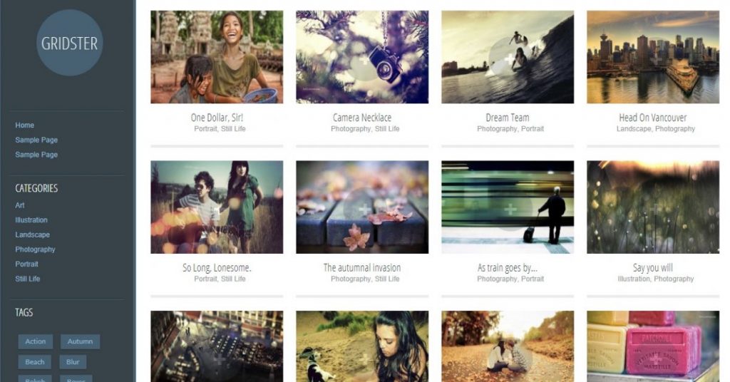 GridSter the best free wordpress themes for portfolio