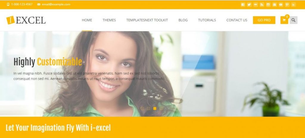 I Excel the best wordpress themes for business