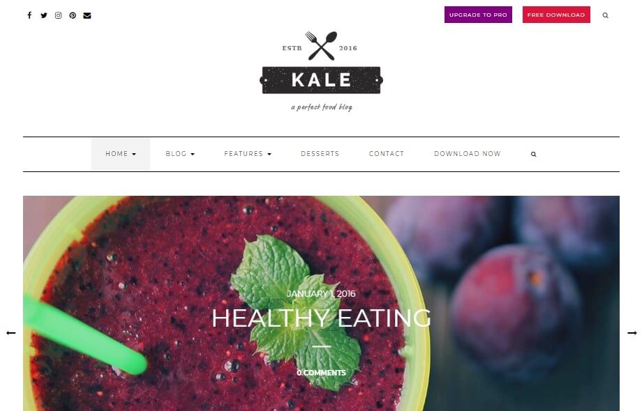 Kale best food wordpress free theme