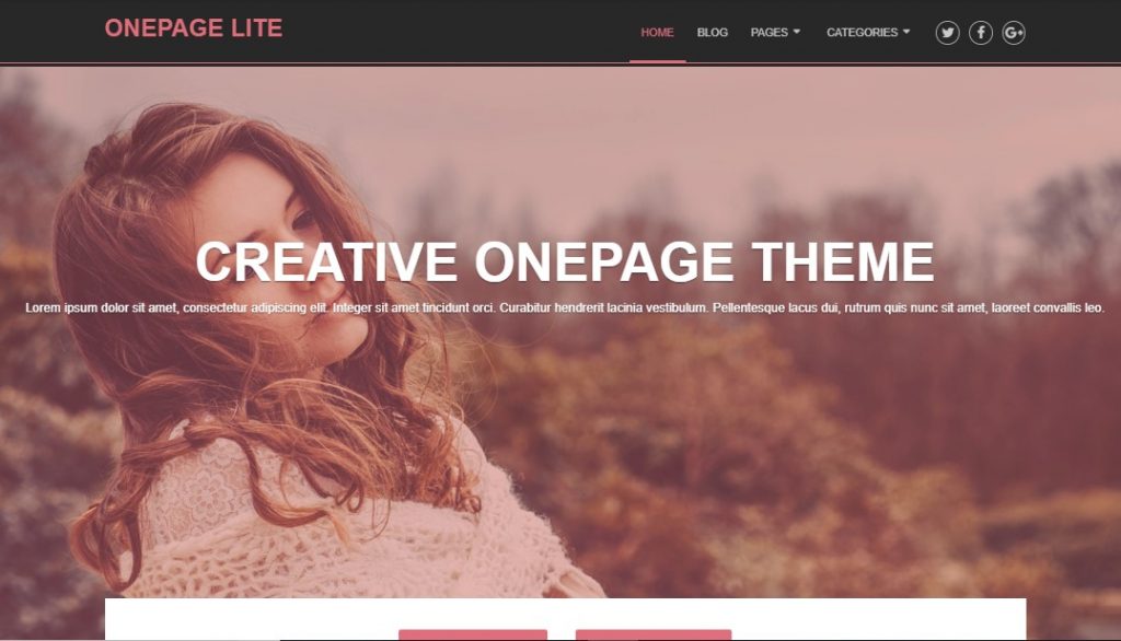 OnePage Lite the best WordPress business theme