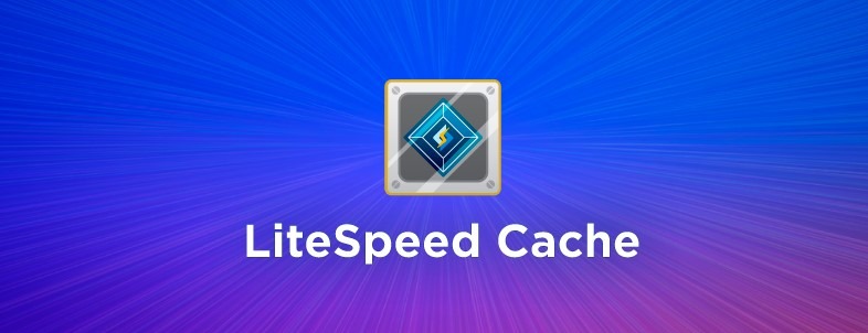 liteSpeed Cache for Speed Up WordPress performance