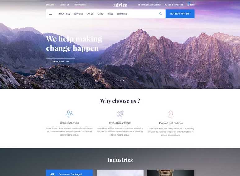Advice the best wordpress themes for any business