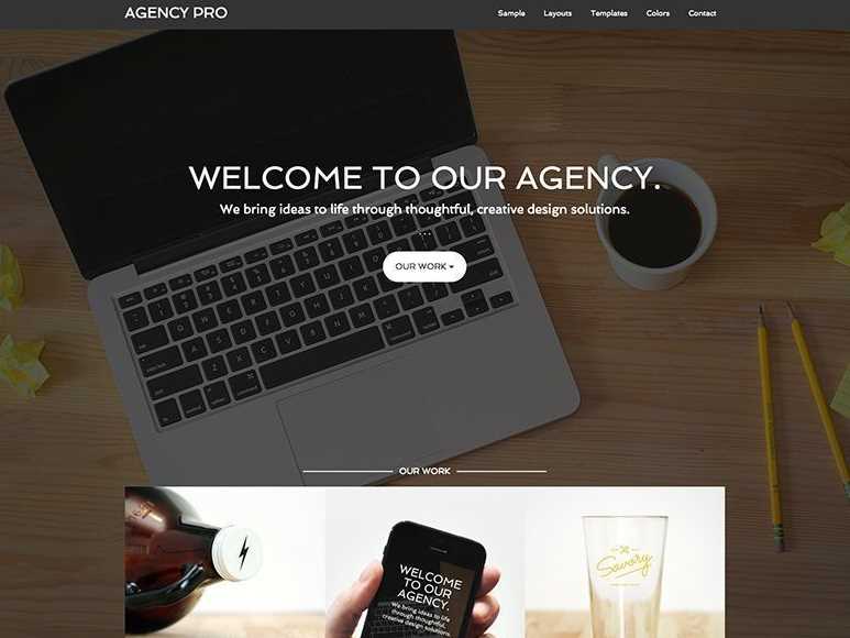 Agency Pro the best themes for any business or agencys