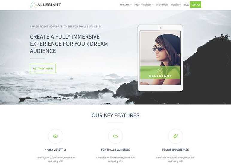 AllEgiant is another of best free wordpress themes