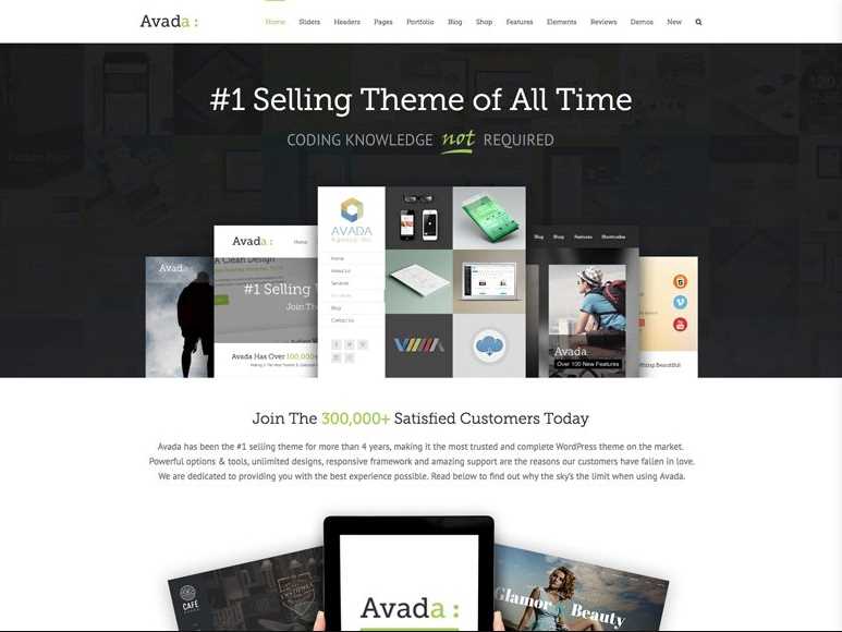 Avada multipurpose theme for business