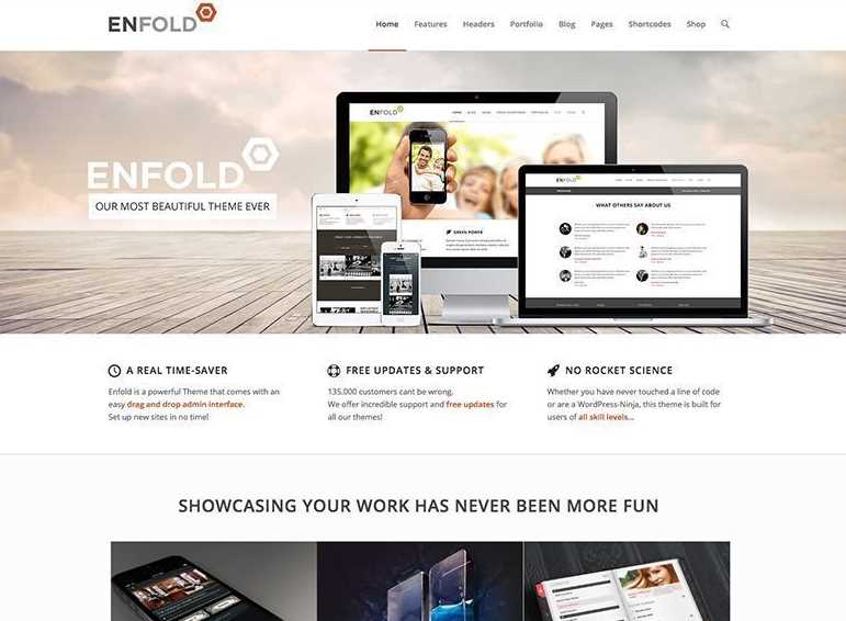 Enfold the best wordpress themes for business