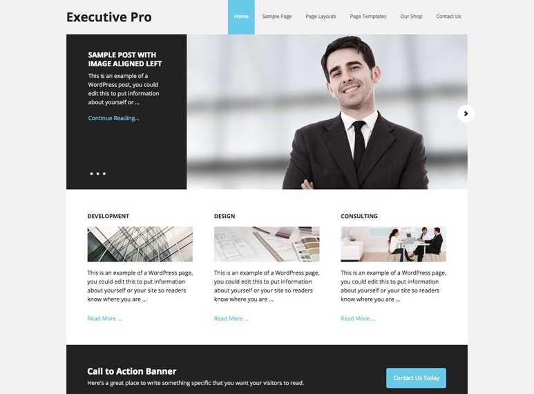 Executive Pro the best wordpress themes for business