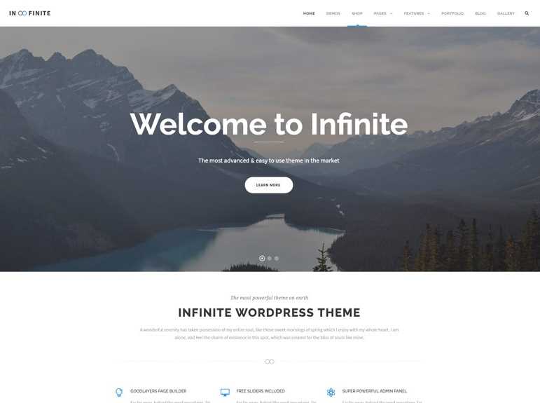 Infinite the best wordpress themes for business