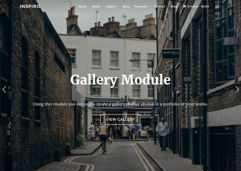 Inspiro is the another of best wordpress artists theme