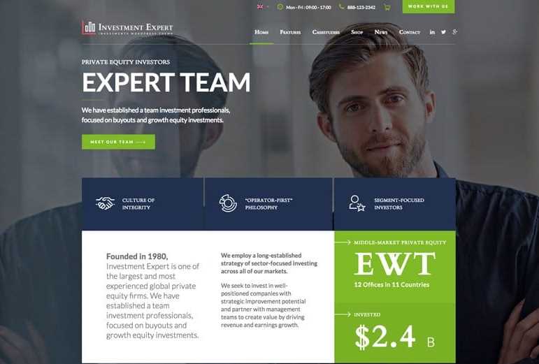 Insvestment is the best wordpress themes for business