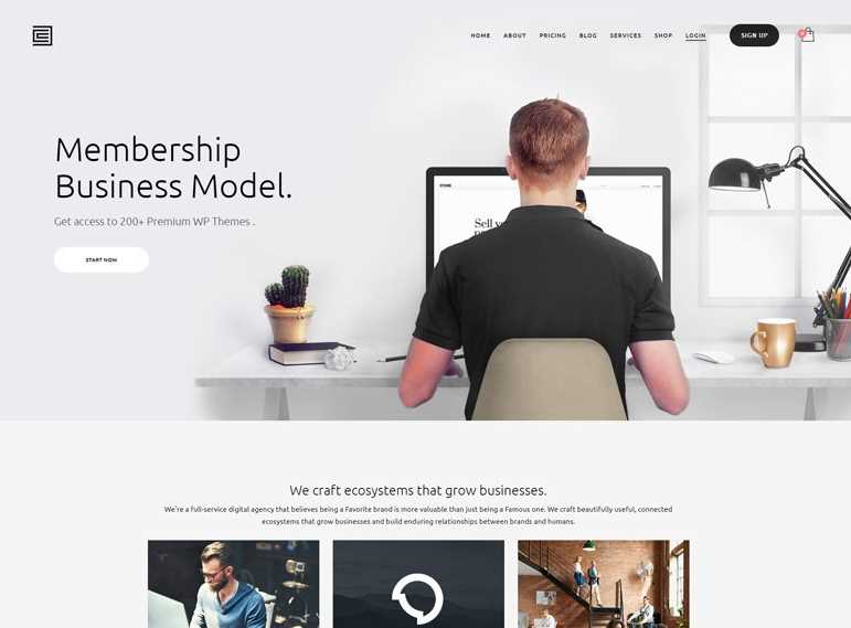 Kallyas the best wordpress themes for business