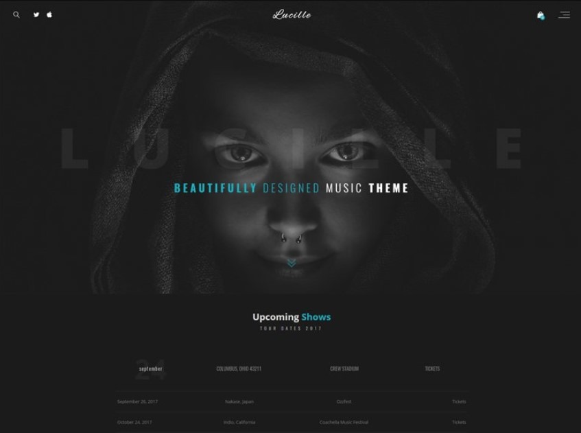 Lucille the Best WordPress Themes for Musicians or music blogs