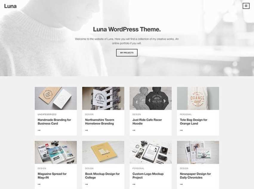 Luna the best wordpress free themes for online stores