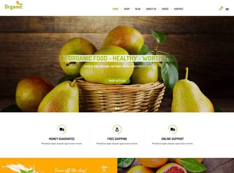 Orangic the best woocommerce wordpress themes for online stores