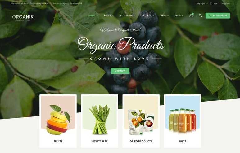 Organik the best woocommerce themes for online business