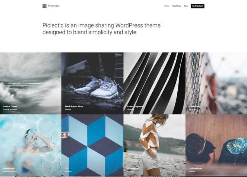 Piclectic is the another of best free wordpress themes for portfolio or photographars