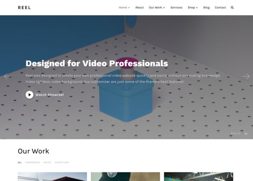 Reel WordPress theme for Video Graphar