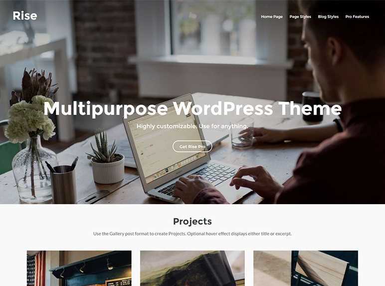 Rise is the best free wordpress themes for business sites