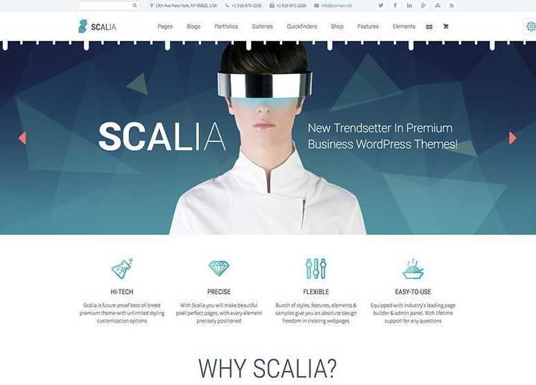 Scalia is the best wordpress themes for business site
