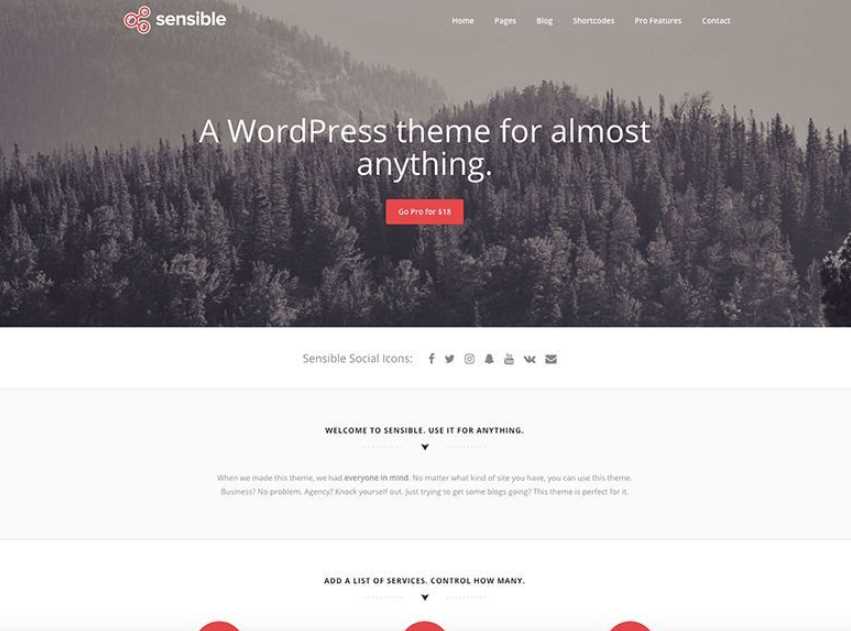 Sensible is the best wordpress themes for blogs or personal blogs