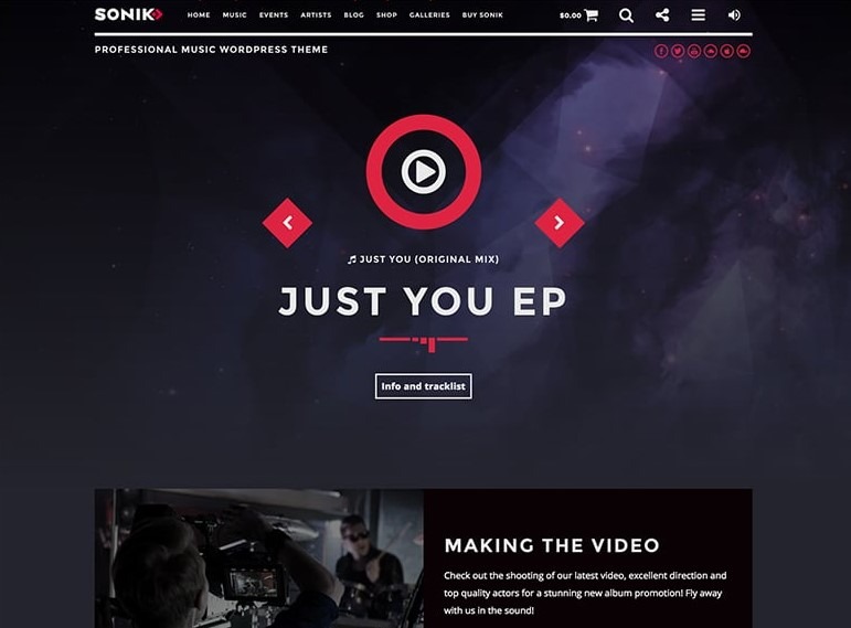 Sonik the best Best WordPress Themes for Musicians 