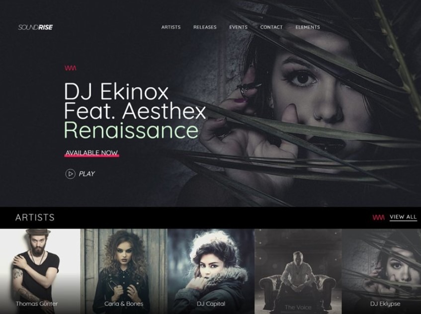 SoundRise is the Best WordPress Themes for Musicians 