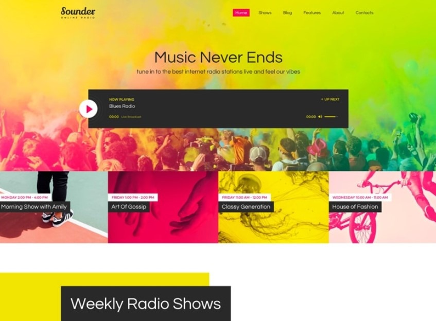 Sounder the Best WordPress Themes for Musicians 