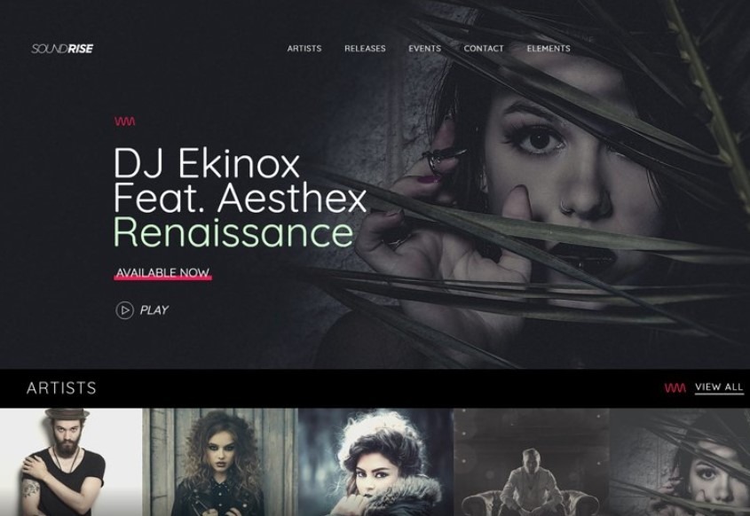 Soundrise WordPress theme for music website