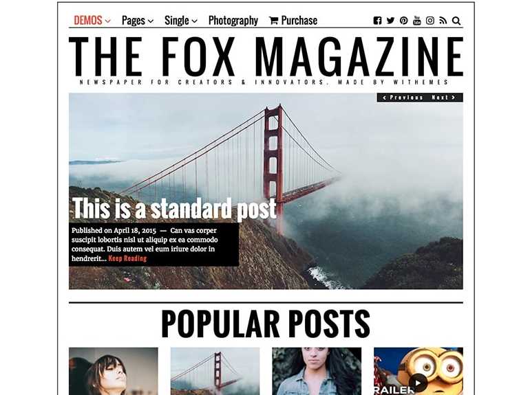 TheFox is the another of best wordpress themes for newspaper