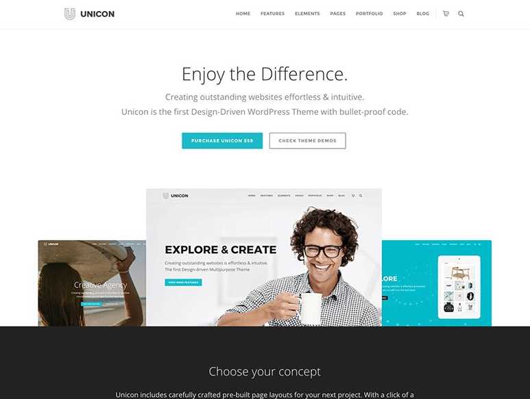 Unicon the best wordpress themes for business
