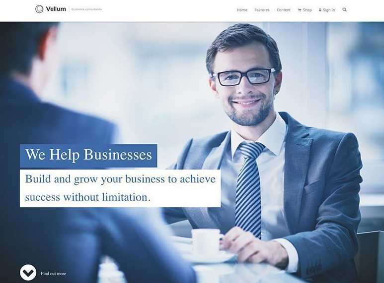 Vellum the best wordpress themes for your business