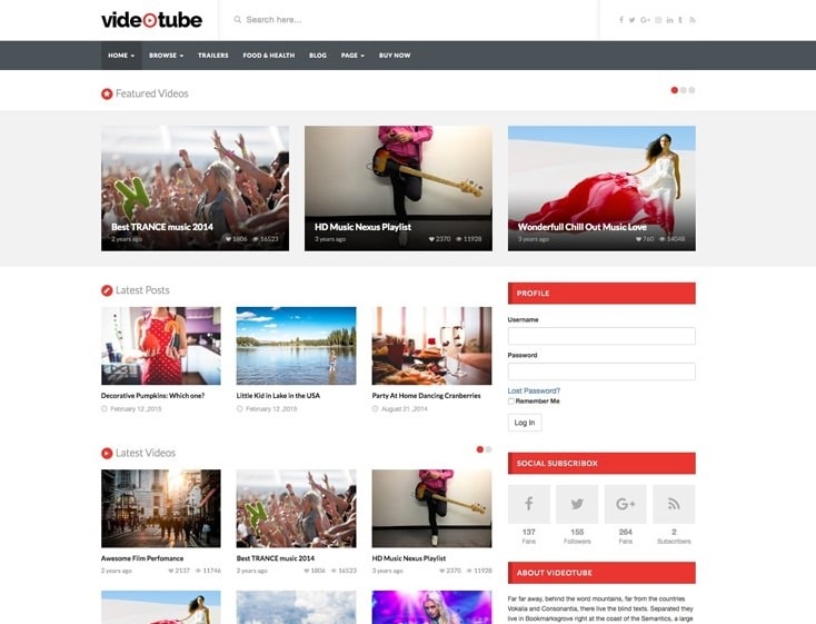 VideoTube the best wordpress theme for videos site