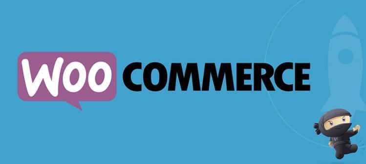 WooCommerce Plugins for making a online stores