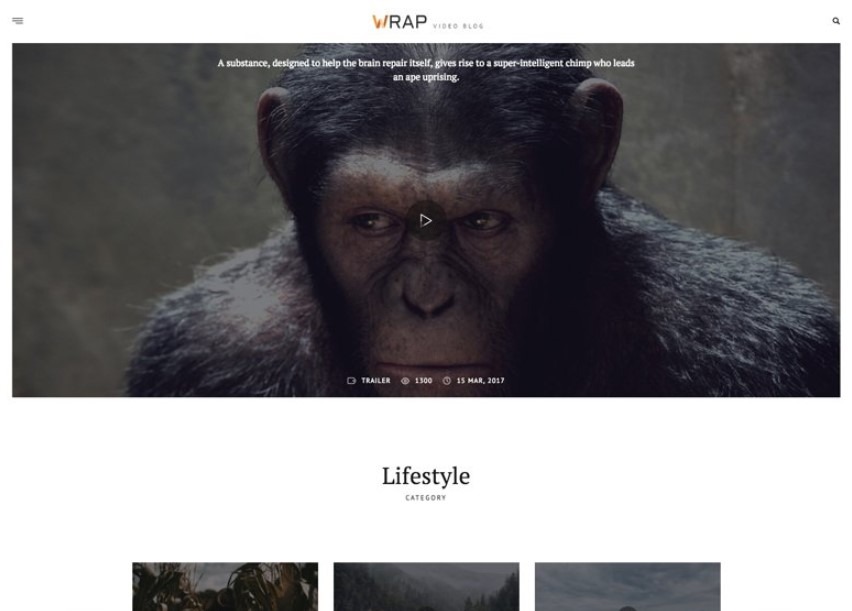 Wrap is another of best wordpress video themes
