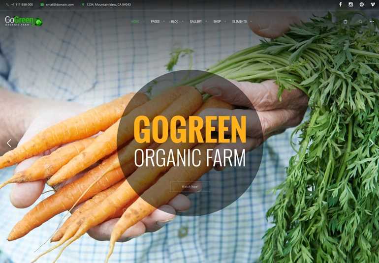 GoGreen Organic Shop WordPress Theme