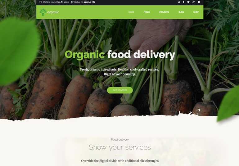 Organic Organic Shop WordPress Theme