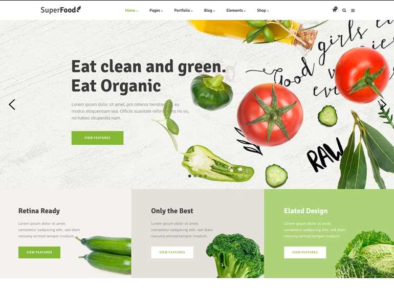 SuperFood is one of the best wordpress theme