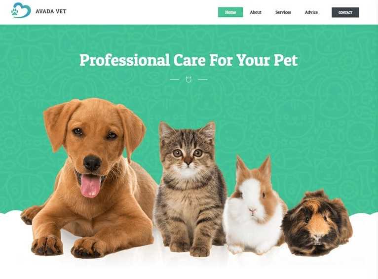 Avada Best Pet Care WordPress Themes
