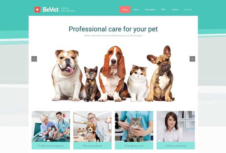 BeTheme BeVet Best Pet Care WordPress Themes