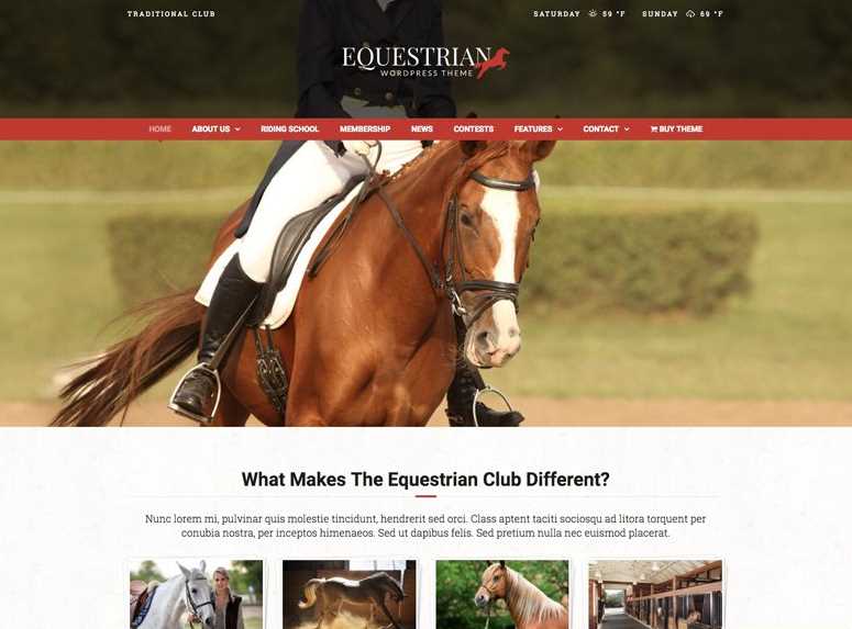 Equestrain wordpress theme