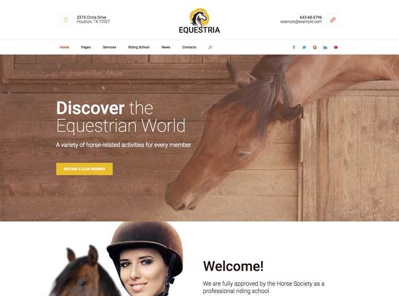 Equestria Best Pet Care WordPress Theme