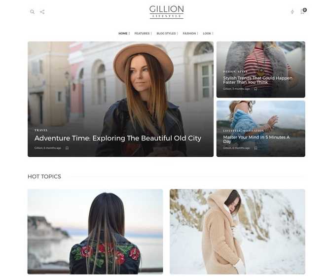 Gilion wordpress theme