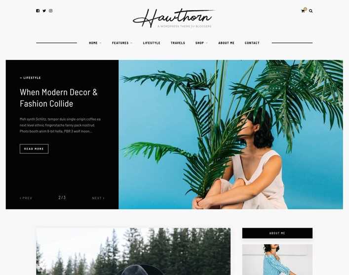 Hawthorn  Best Feminine WordPress Themes