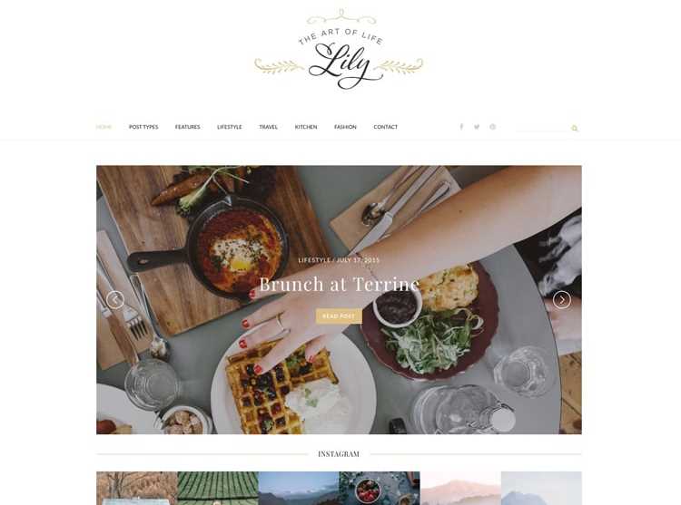 Lily wordpress theme