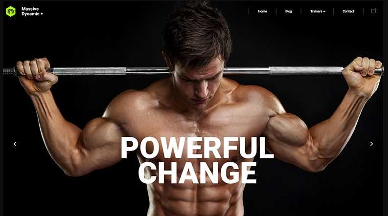 Massive Dynamic Zym - Best WordPress Themes for Fitness