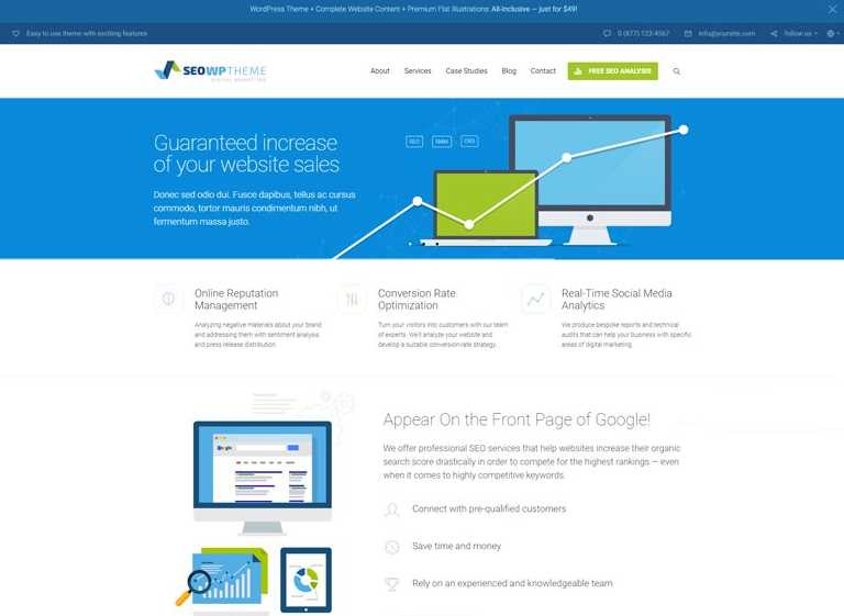 SEO wp Theme