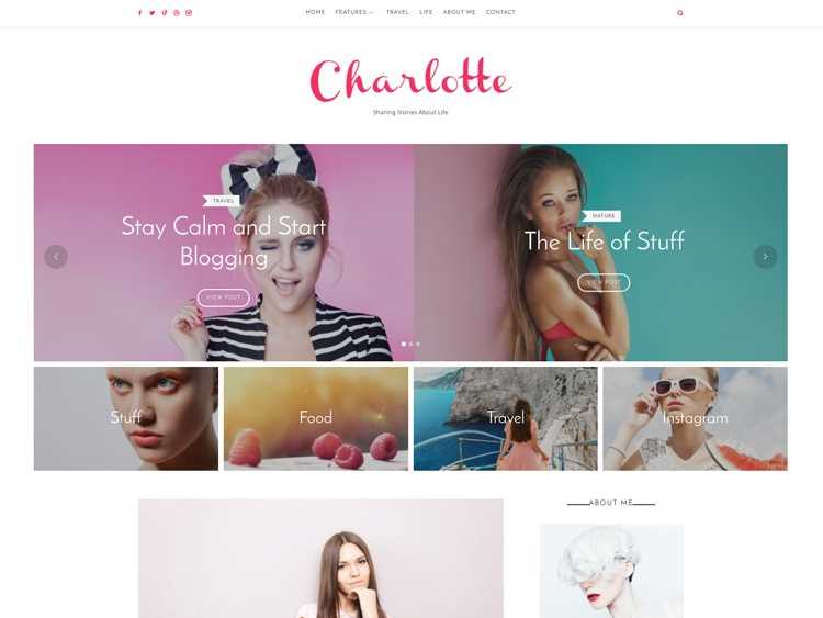 TheBlogger  Best Feminine WordPress Themes