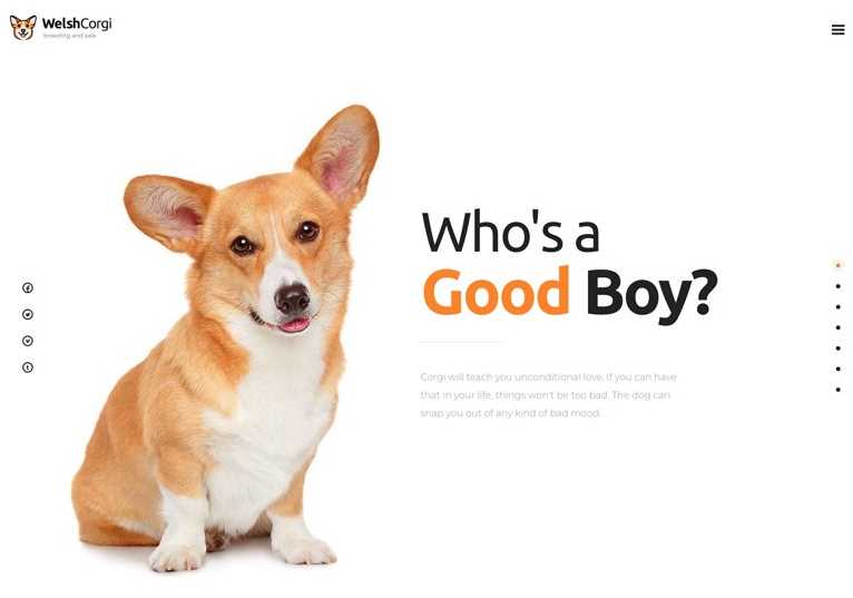 Welsh wordpress theme