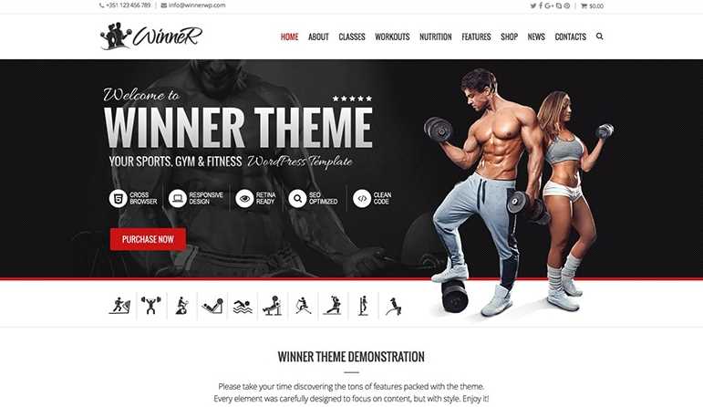Winner wordpress theme